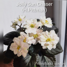 Jolly Sun Chaser (H.Pittman)