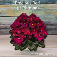 Precious Red (H.Pittman)