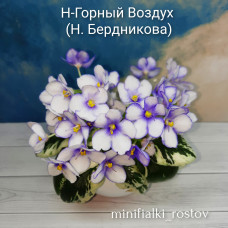 Н-Горный Воздух (Н.Бердникова)