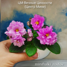 ЦМ-Вечные Ценности (Центр Мини)