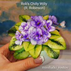 Rob's Chilly Willy (R.Robinson)