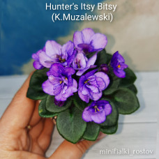 Hunter's Itsy Bitsy  (K.Muzalewski)