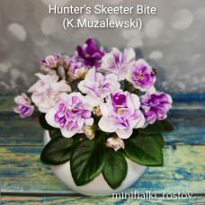 Hunter's Skeeter Bite (K.Muzalewski)