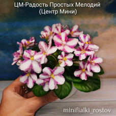 ЦМ-Радость Простых Мелодий (Центр Мини)