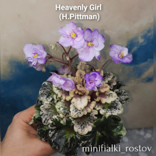 Heavenly Girl (H.Pittman)