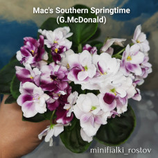 Mac's Southern Springtime (G.McDonald)