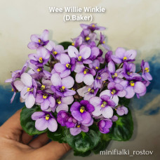 Wee Willie Winkie (D.Baker)