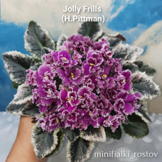 Jolly Frills (H.Pittman) 