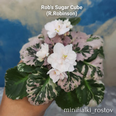 Rob's Sugar Cube (R.Robinson)