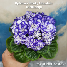 Optimara Smoky Mountains (R.Holtkamp)