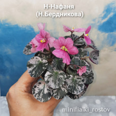 Н-Нафаня (Н.Бердникова)