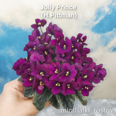 Jolly Prince (H.Pittman)