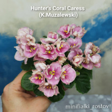 Hunter's Coral Caress (K.Muzalewski)