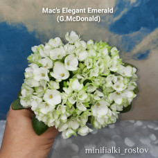 Mac's Elegant Emerald (McDonald)