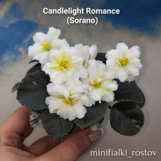 Candlelight Romance (Sorano)