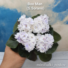 Boo Man (S.Sorano)