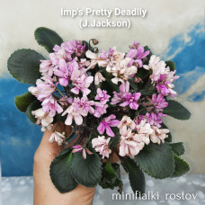 Imp's Pretty Deadlly (J.Jackson)