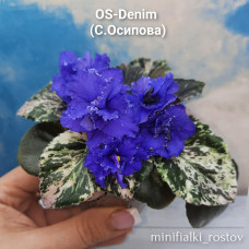 OS-Denim (С.Осипова) 