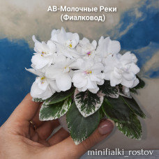 АВ-Молочные Реки (Фиалковод)