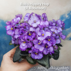 Rob's Hippity Hop (R.Robinson)