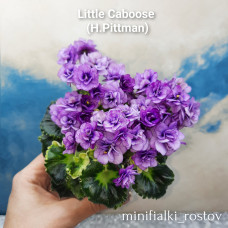 Little Caboose (H.Pittman)