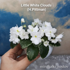 Little White Clouds (H.Pittman)