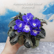 Harmony's Little Stinker (Harmony)