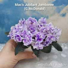 Mac’s Jubilant Jamboree (G.McDonald)