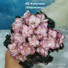 АВ-Капучино (Фиалковод)