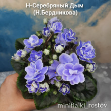 Н-Серебряный Дым (Н.Бердникова)