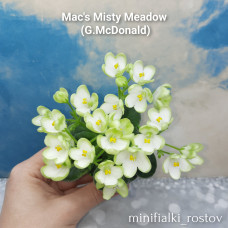 Mac's Misty Meadow (G.McDonald)