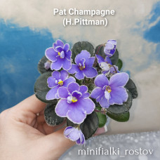 Pat Champagne (H.Pittman)