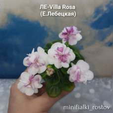 ЛЕ-Villa Rosa (Е.Лебецкая)