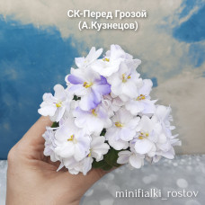 СК-Перед Грозой (А.Кузнецов) 