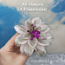 AR-Никуся (А.Роменская)