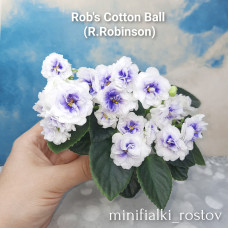 Rob’s Cotton Ball (R.Robinson)