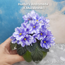 Hunter’s Andromeda (K.Muzalewski)