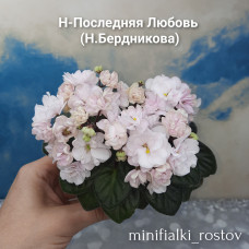 Н-Последняя Любовь (Н.Бердникова)