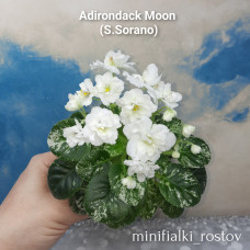 Adirondack Moon (S.Sorano)