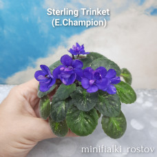 Sterling Trinket (E.Champion)