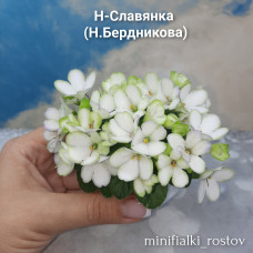 Н-Славянка (Н.Бердникова) 