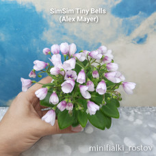 SimSim Tiny Bells (Alex Mayer) 