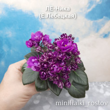 ЛЕ-Ника (Е.Лебецкая)