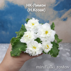 НК-Лимон (Н.Козак)