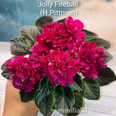 Jolly Fireball (H.Pittman)