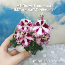 МТ-Пламя Капсихора (М.Тотиева/Т.Печёнкина)