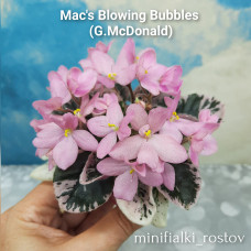 Mac's Blowing Bubbles (G.McDonald)