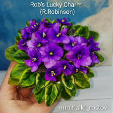 Rob's Lucky Charm (R.Robinson)