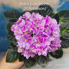 Rob's Dust Storm (R.Robinson)