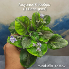 Ажурное Серебро    (Н.Белецкая)